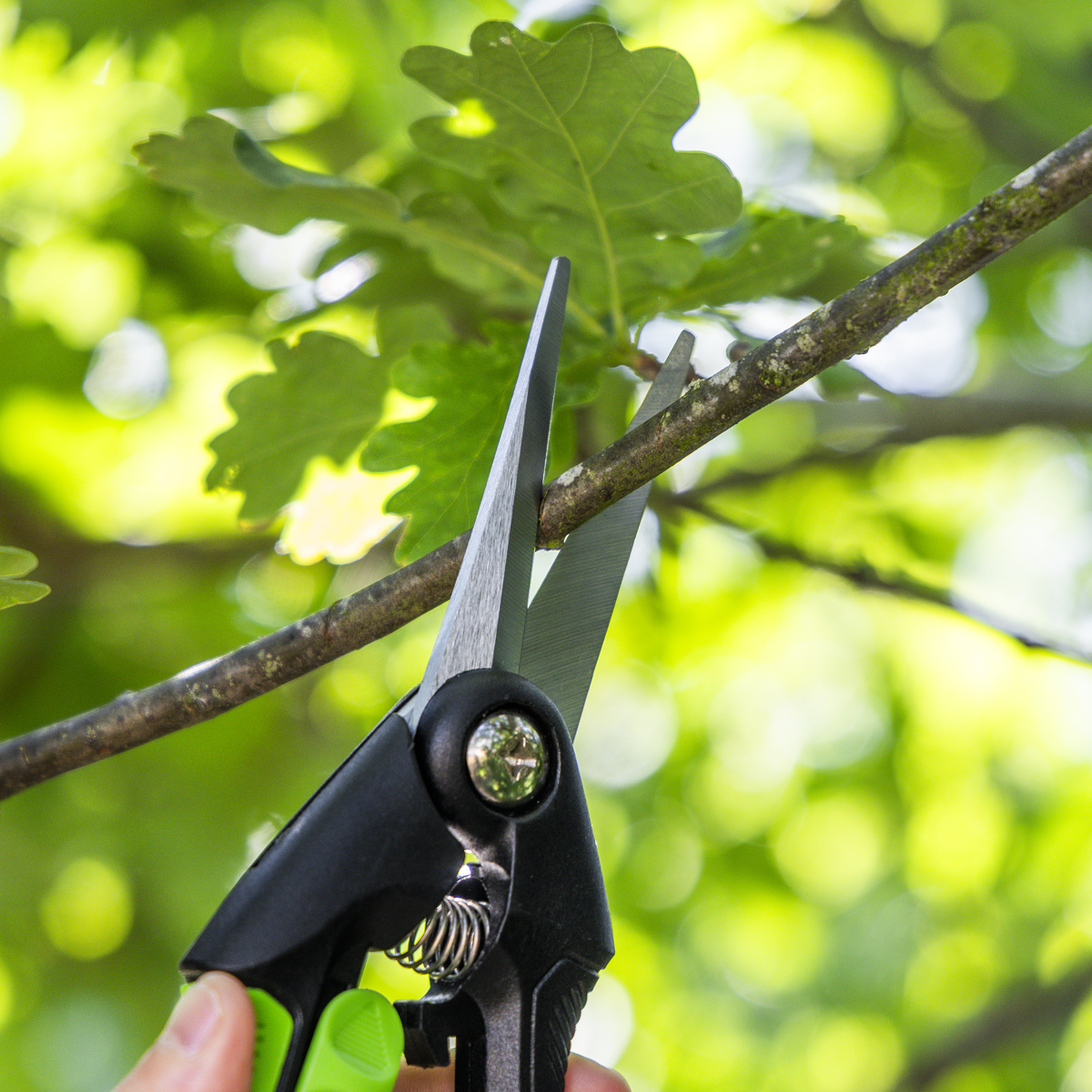 SwimLawn Pruning Snips Carbon Steel Blade Soft Grip Handle 208mm - Image 3