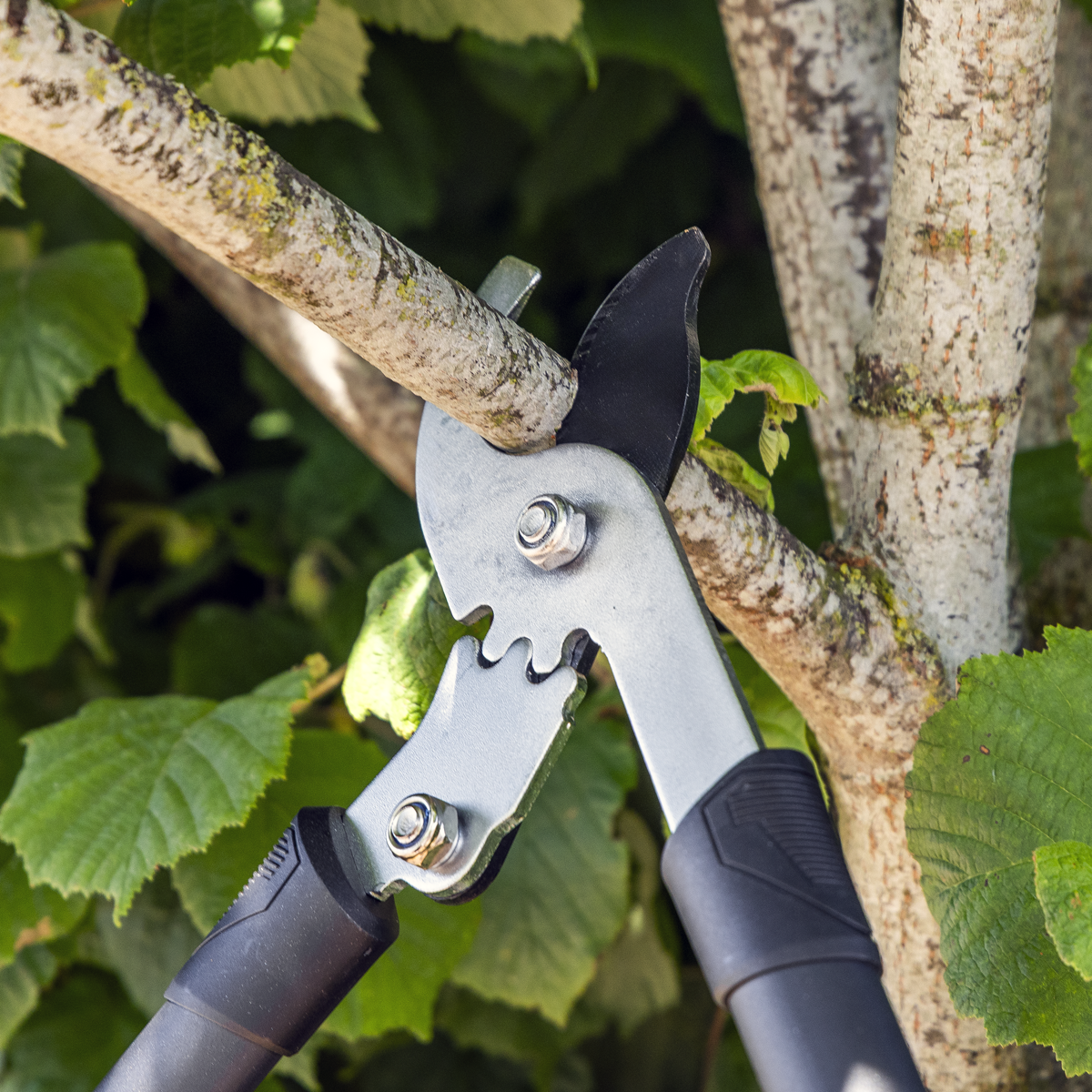 SwimLawn Telescopic Bypass Lopping Shears Geared Carbon Steel Teflon Coated Blade - Image 2