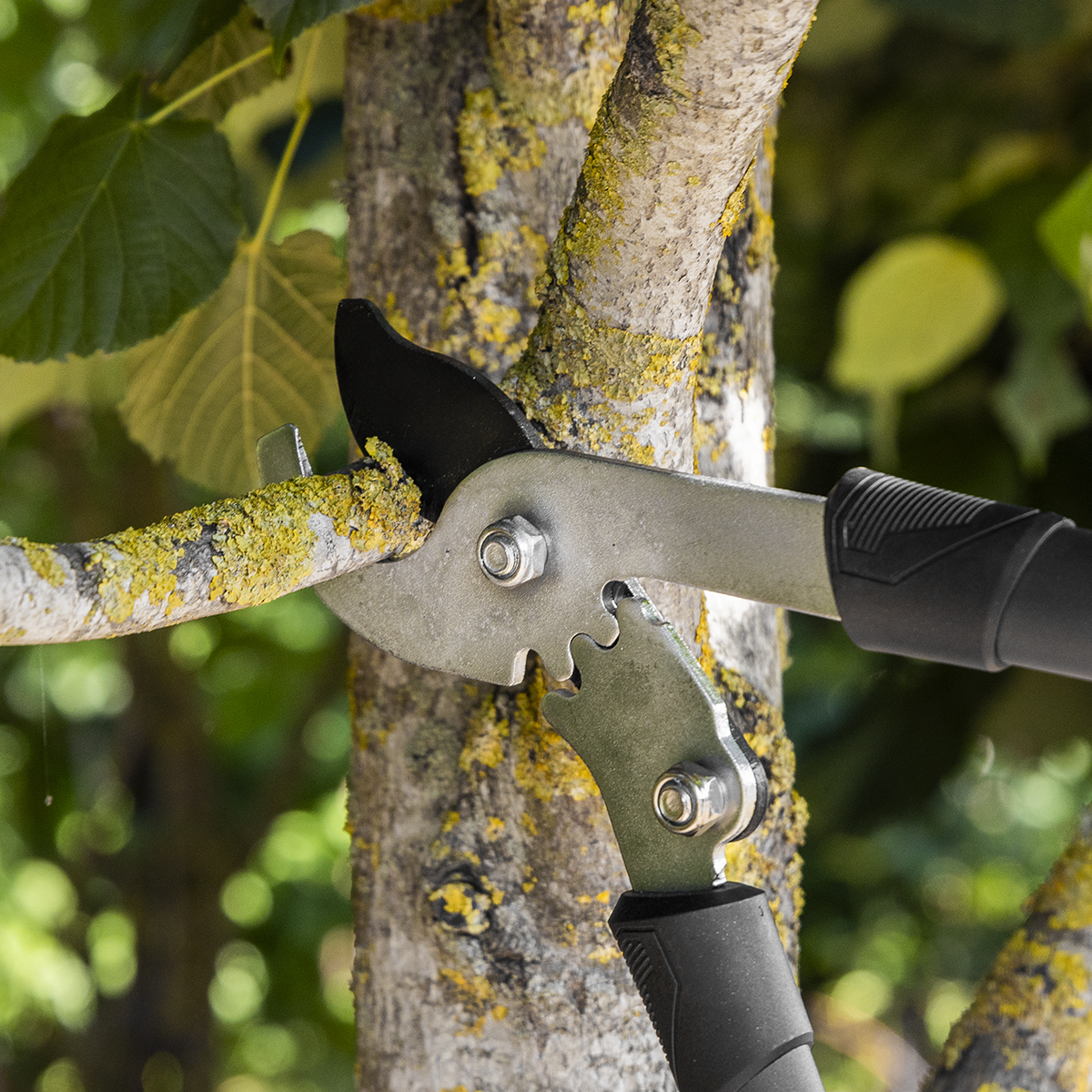 SwimLawn Telescopic Bypass Lopping Shears Geared Carbon Steel Teflon Coated Blade - Image 9
