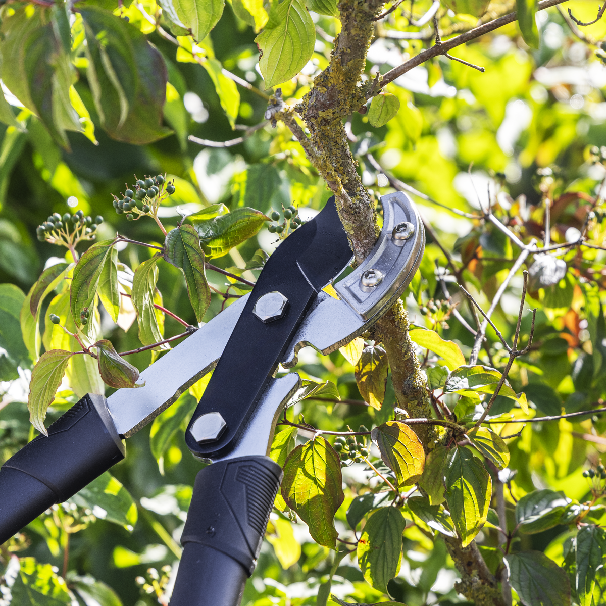 SwimLawn Telescopic Anvil Lopping Shears Geared Carbon Steel Teflon Coated Blade - Image 4